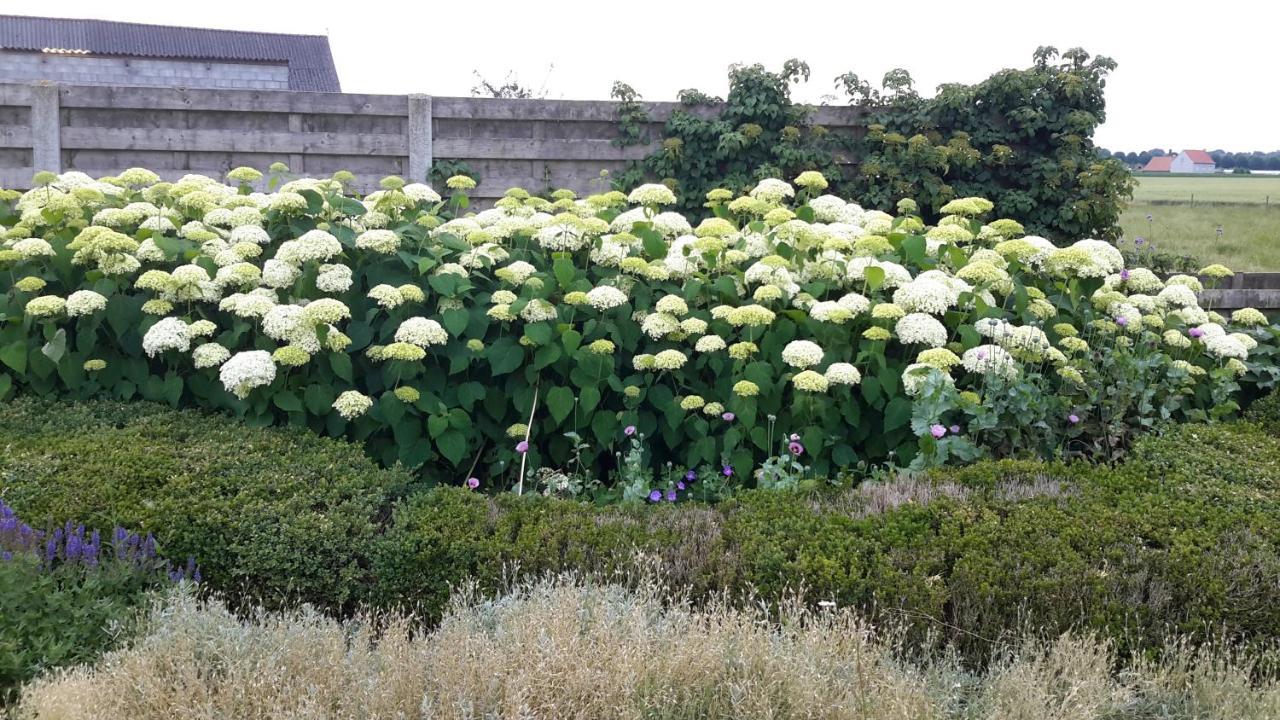 B&B Bergdal Gits エクステリア 写真