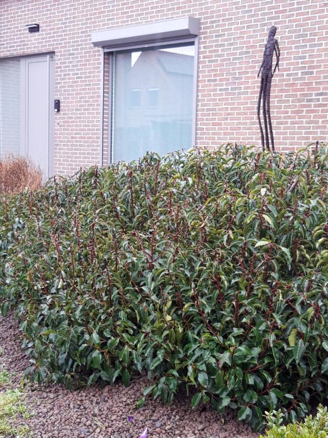 B&B Bergdal Gits エクステリア 写真